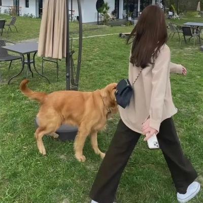 胶片时代的爱情